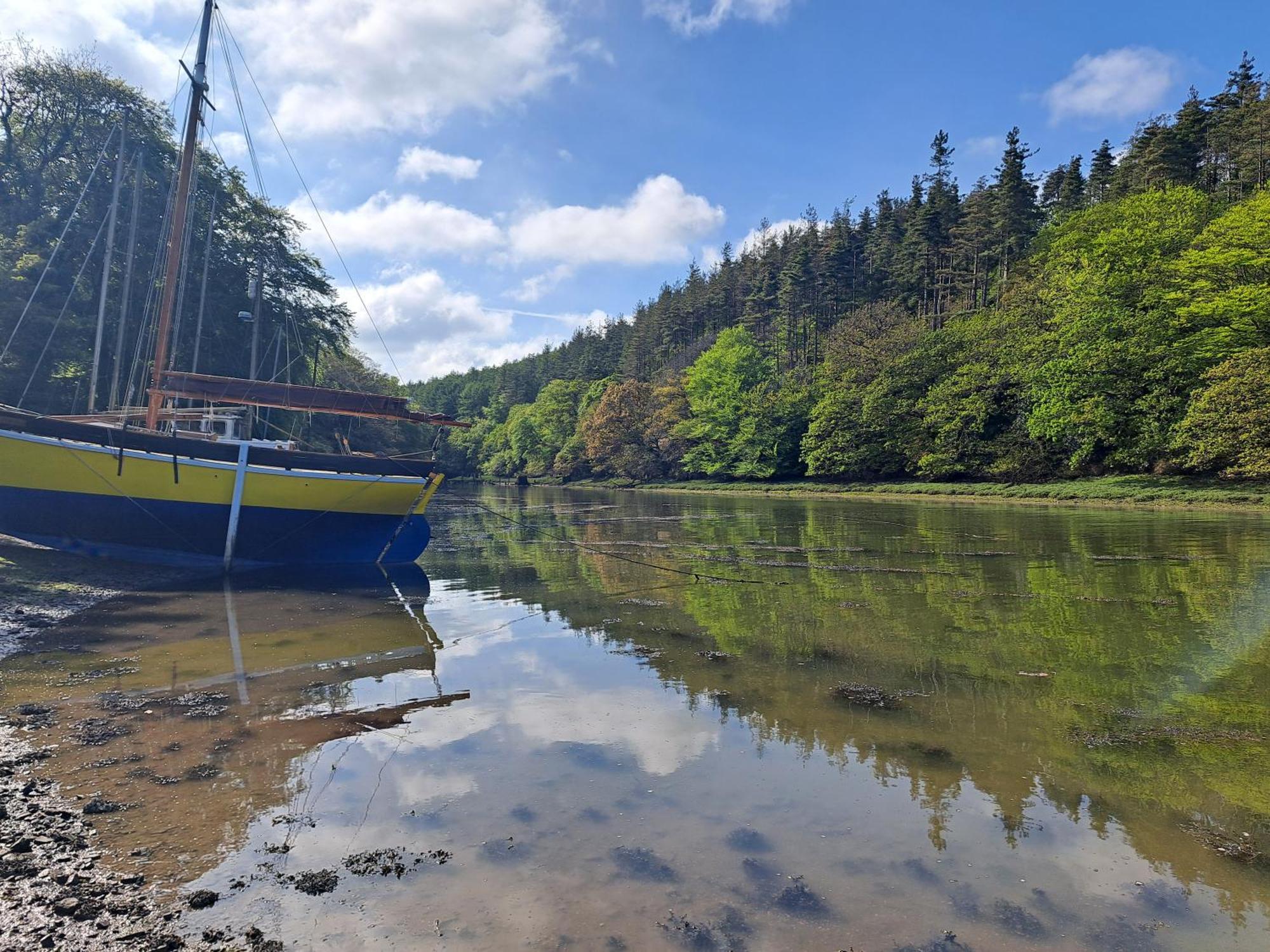 ホテル 5 Main Street Llangwm  エクステリア 写真